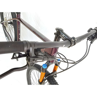 Bicicletta stradale leggera in fibra di carbonio con ingranaggi a velocità singola