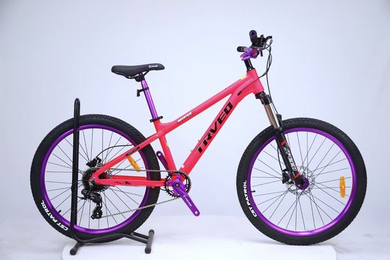 Sperimenta la libertà del mountain bike con la mountain bike sportiva 8/9 velocità Dirt Jumper MTB