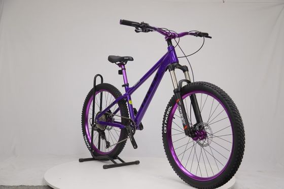 Sperimenta la libertà del mountain bike con la mountain bike sportiva 8/9 velocità Dirt Jumper MTB
