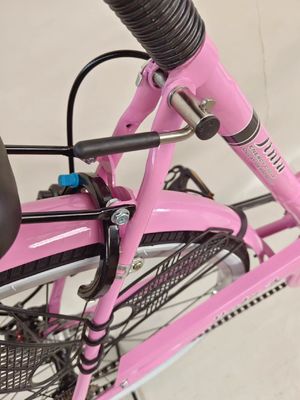 24 pollici City bicycle single speed city bike freno a disco con luce dinamo