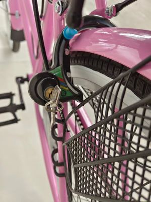 24 pollici City bicycle single speed city bike freno a disco con luce dinamo