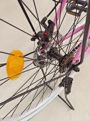 24 pollici City bicycle single speed city bike freno a disco con luce dinamo