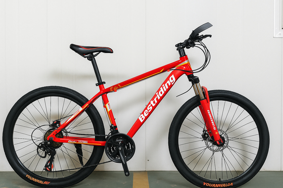 Bici da montagna economica da 26 pollici a 21 velocità con sospensioni